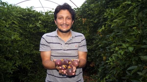 Kilosu 360 liraya satılan çarkıfelek meyvesi Türkiye için büyük bir fırsat olacak