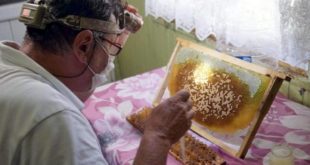 Kilosu 8 bin olan arı sütü talebine yetişemiyorlar