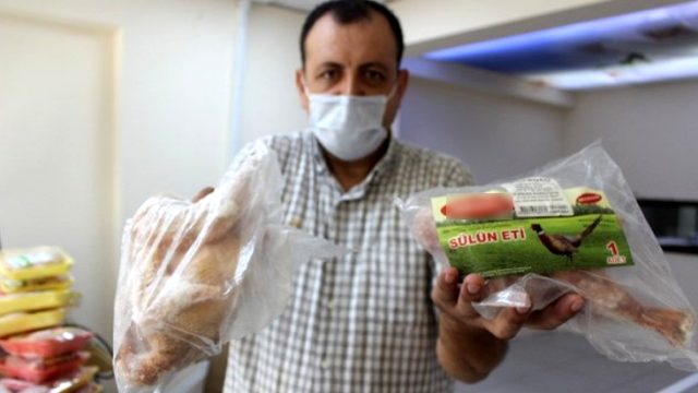 Mangallık keklik ve sülün üreten Bursalı girişimci, siparişlere yetişemiyor