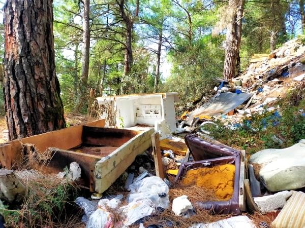 Ormana çöp atılmasına muhtardan tepki: Bunun adı vicdansızlık