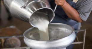 Çiğ süt destek primi ödemeleri 3 ay erkene çekildi