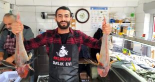 Akçakoca'da 5'er kiloluk kırlangıç balıkları 500 liradan satılıyor