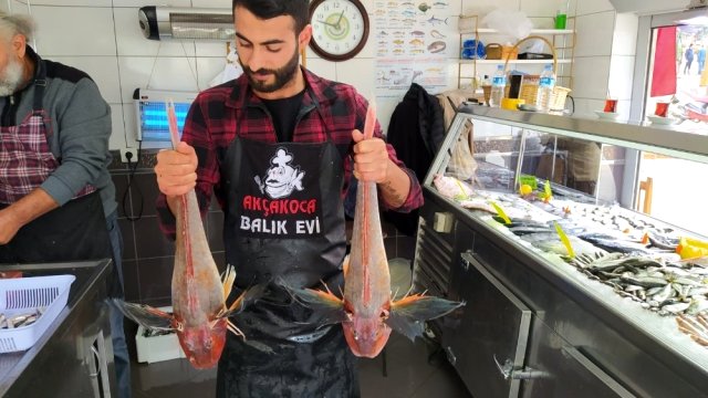5'er kiloluk kırlangıç balıkları 500 liradan satılıyor