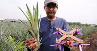 Ananas yaprağından İHA üreten Malezyalı profesör'ün başarısı