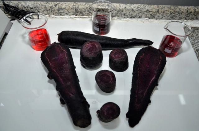 Konya'da üretilen siyah havuç, 35 ülkeye ihraç ediliyor