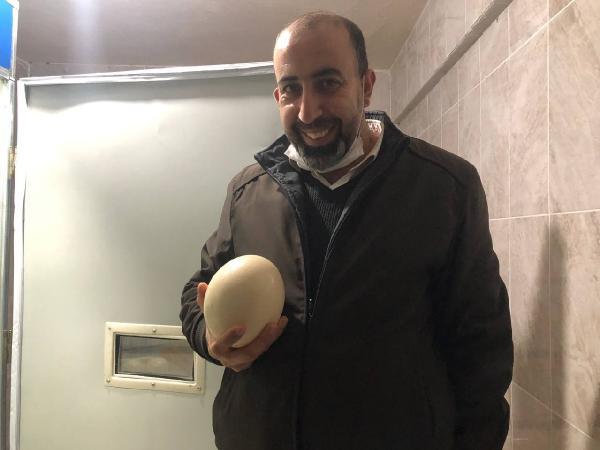 Lübnan asıllı profesör Sakarya'ya deve kuşu çiftliği kurdu