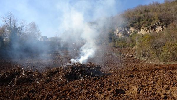İtalya'dan gelen 'Drakula' Maçka'da çiftçinin kabusu oldu! Fındık ağaçları bir bir yakılıyor