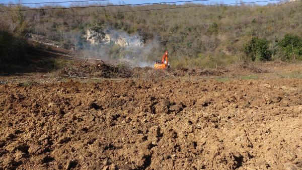İtalya'dan gelen 'Drakula' Maçka'da çiftçinin kabusu oldu! Fındık ağaçları bir bir yakılıyor