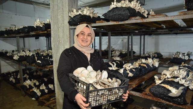 Hobi olarak mantar üretimine başlayan kadın girişimci talebe yetişemiyor
