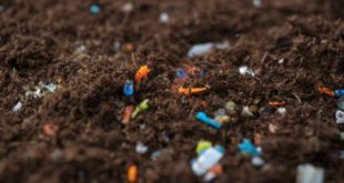Uzmanlardan dünyada mikroplastik kirlenme artıyor uyarısı