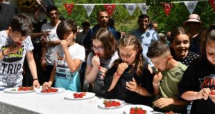 Altınova ’da çilek tadında festival