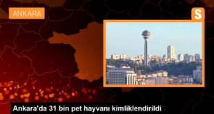Ankara'da 31 bin pet hayvanı kimliklendirildi