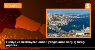 Son dakika ekonomi: Türkiye ve Azerbaycan orman yangınlarına karşı iş birliği yapacak