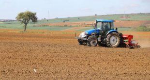 Türkiye'de tahıllar ve bitkisel ürünlerde üretim artacak