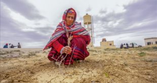 Dünyanın dörtte üçü 2050'ye kadar kuraklıktan etkilenebilir