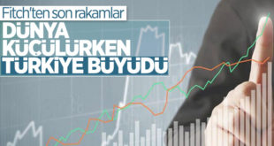 Fitch küresel ekonomi büyüme tahminini düşürdü, Türkiye'ninkini yükseltti