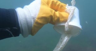 Karadeniz'de 15 farklı plastik türü tespit edildi