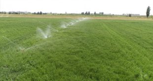 Konya'da sulu tarımdan gelir hedefi arttı