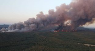 Marmaris ’teki orman yangınında 4. gün: 4813 futbol sahası büyüklüğünde alan yandı!