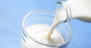 TÜİK: İçme sütü üretimi yüzde 6,6 azaldı