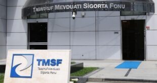 TMSF, Yeni Dünya Sağlık Hizmetleri'ni satışa çıkardı